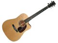 Martin DCPA4 (Dreadnought Cutaway Performing Artist 4)